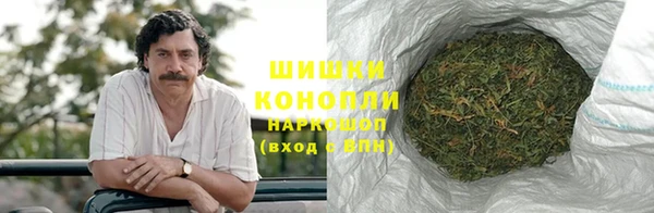 таблы Богородицк