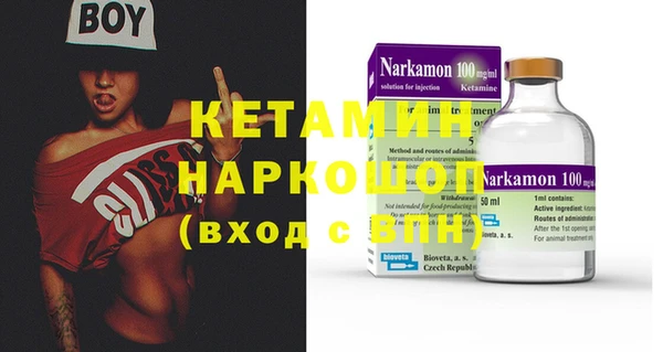крисы Слюдянка