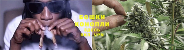 таблы Богородицк