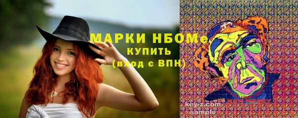 таблы Богородицк