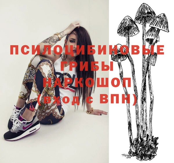 таблы Богородицк