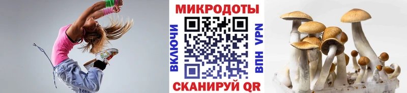 Псилоцибиновые грибы мицелий  Вязьма 